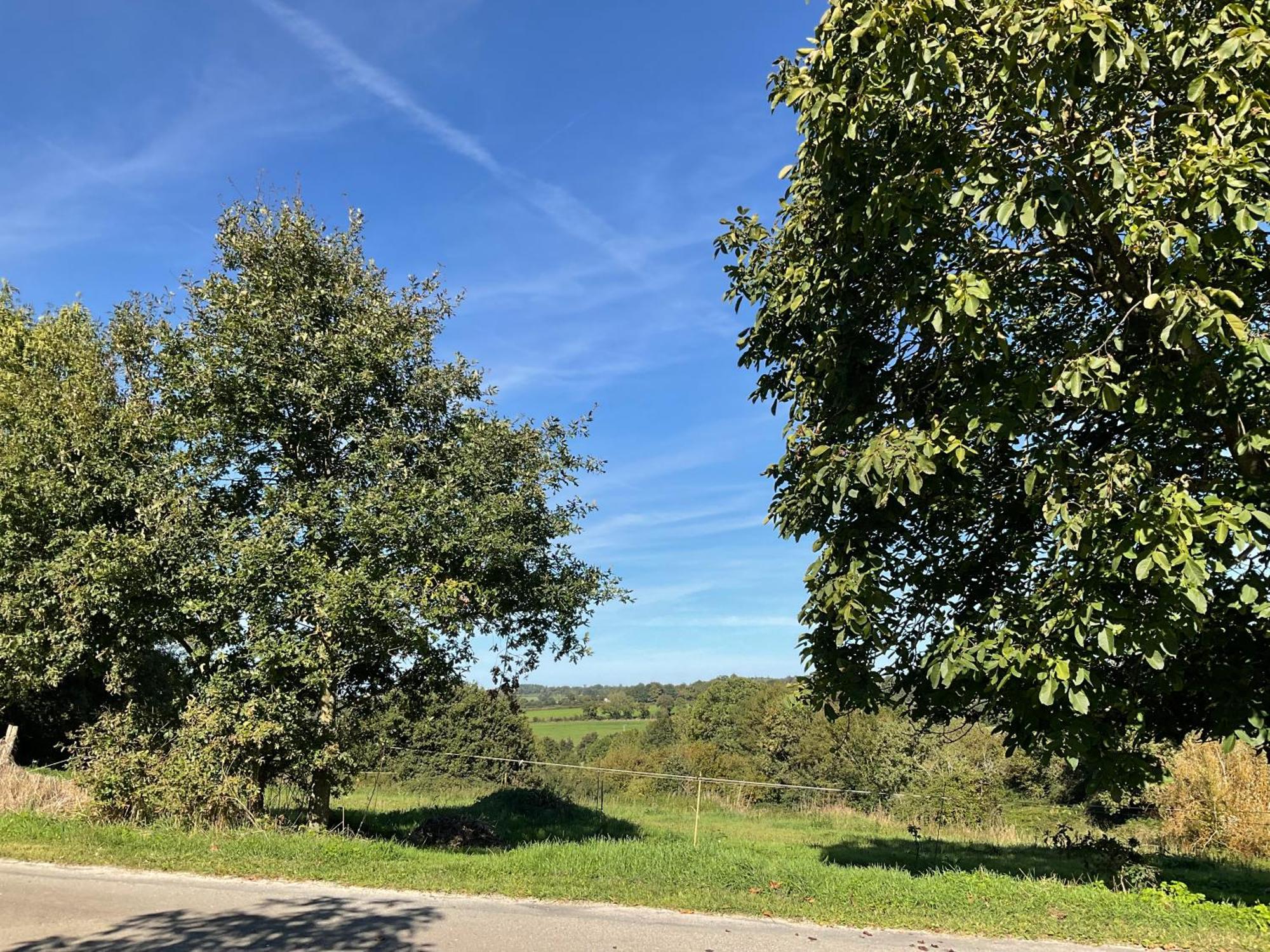 La Brionniere Bed and Breakfast Saint-Pierre-du-Chemin Exteriör bild